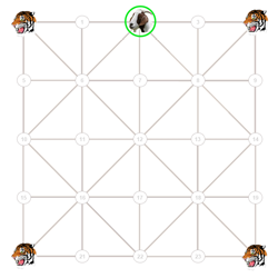 baghchal game start01