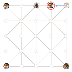baghchal game start02