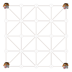 baghchal game tiger and goat placement image
